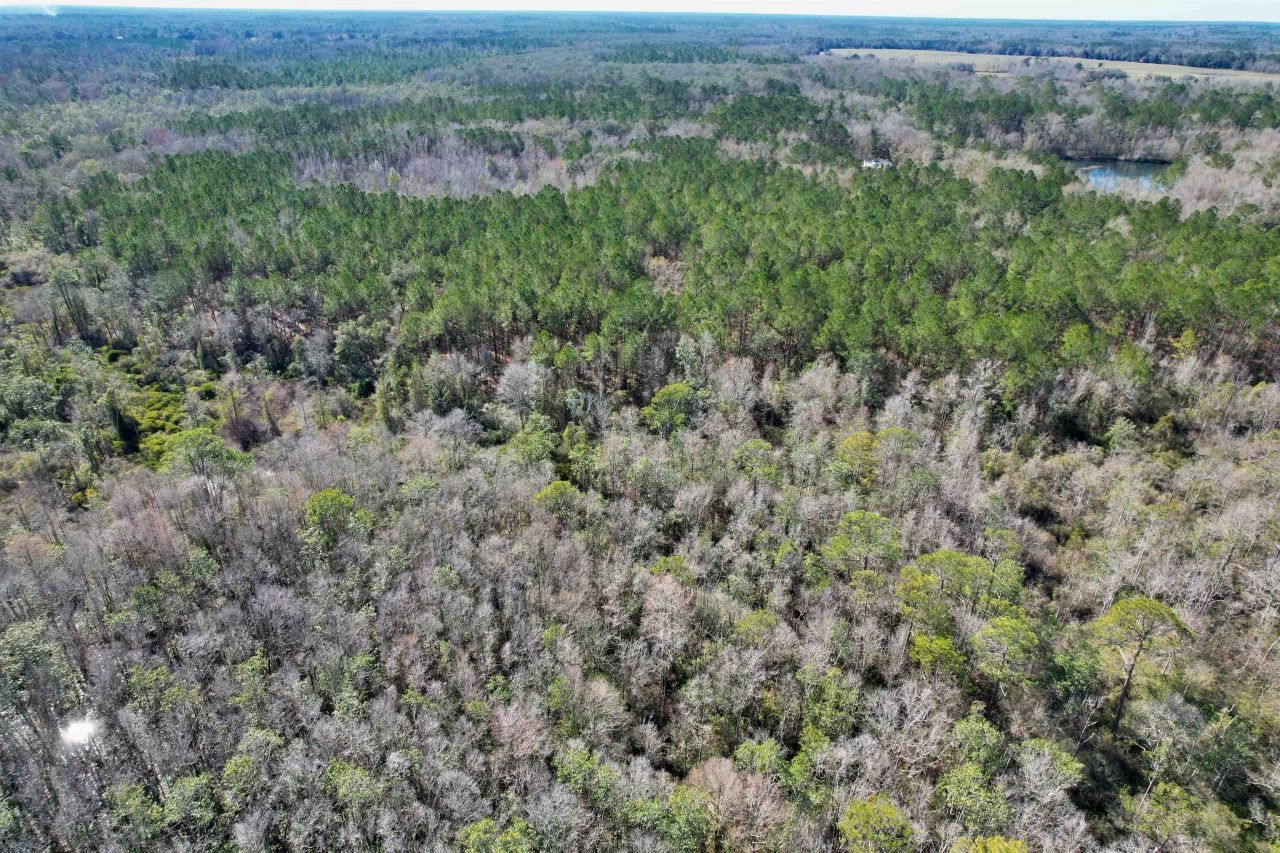 2894 SW Overstreet Avenue , Greenville, FL 32331 Photo