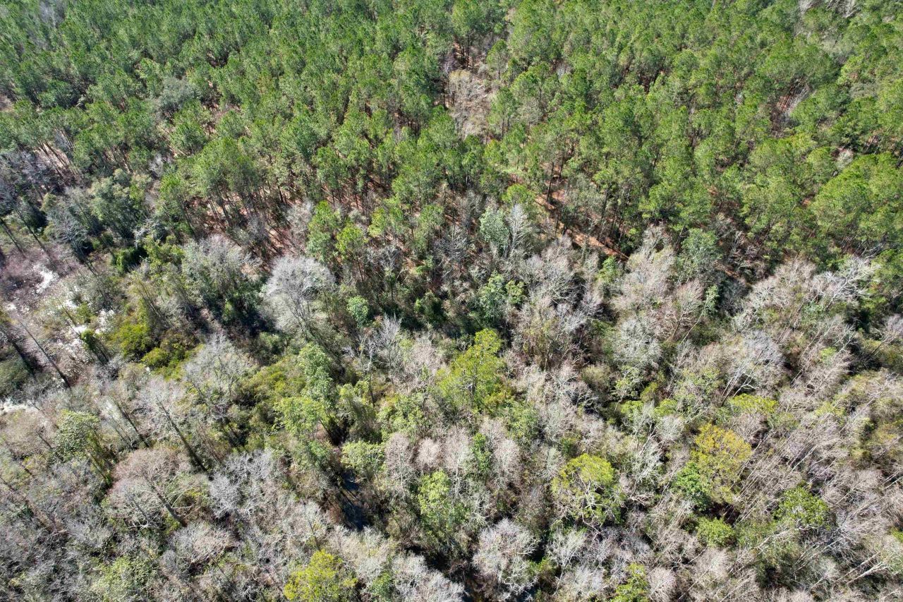 2894 SW Overstreet Avenue , Greenville, FL 32331 Photo