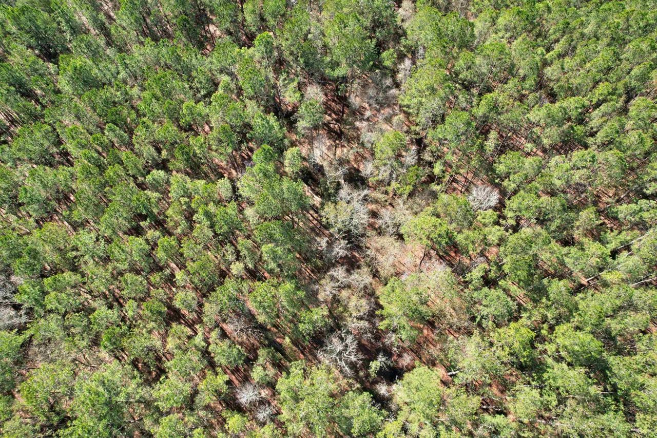 2894 SW Overstreet Avenue , Greenville, FL 32331 Photo