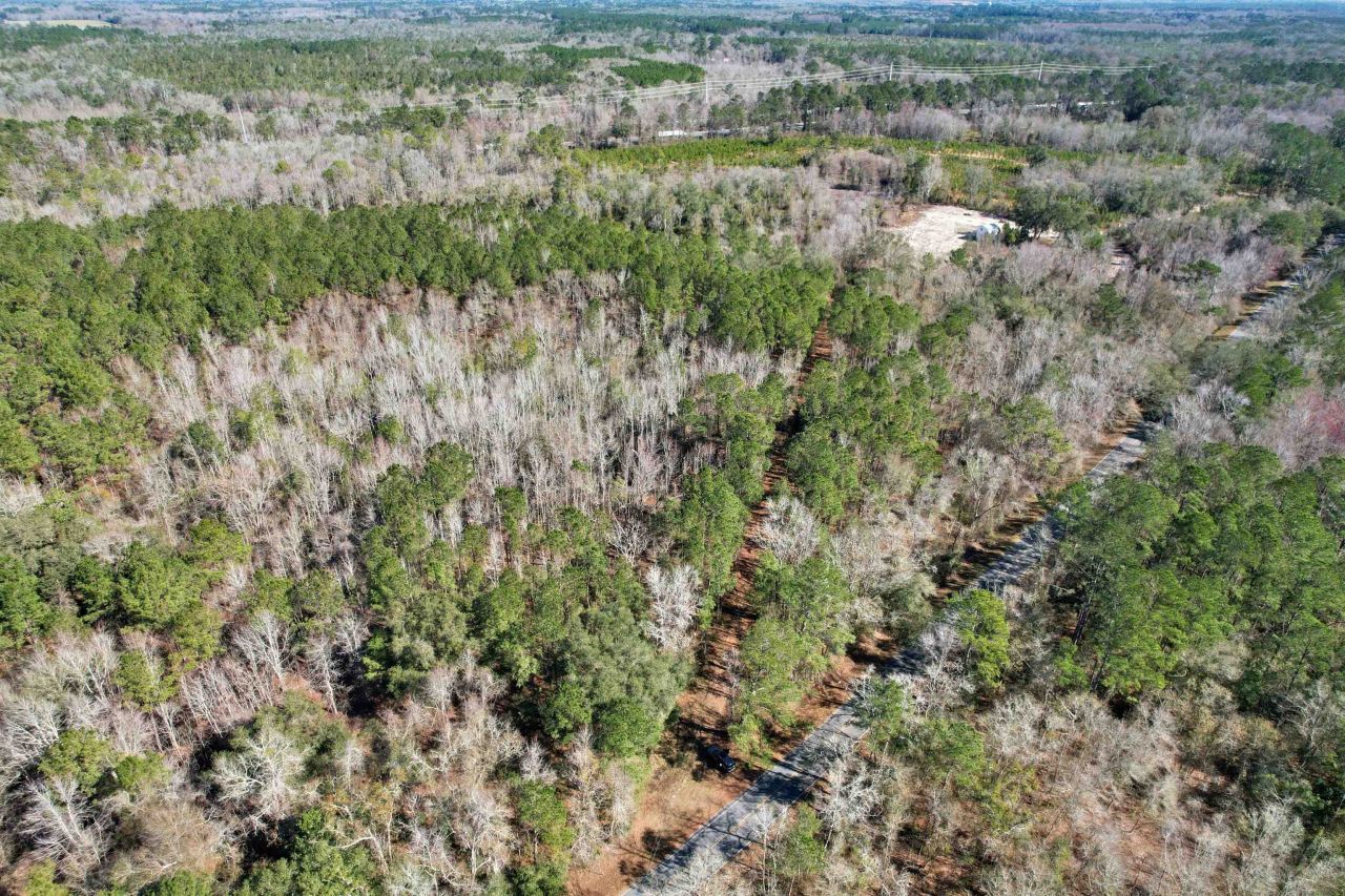 2894 SW Overstreet Avenue , Greenville, FL 32331 Photo