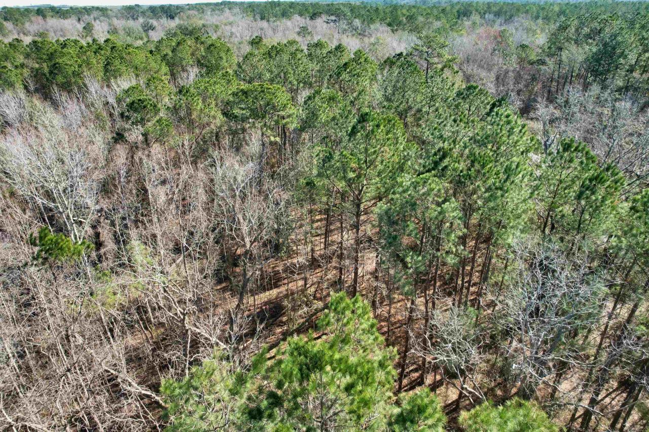 2894 SW Overstreet Avenue , Greenville, FL 32331 Photo