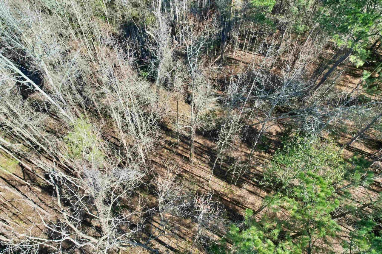 2894 SW Overstreet Avenue , Greenville, FL 32331 Photo