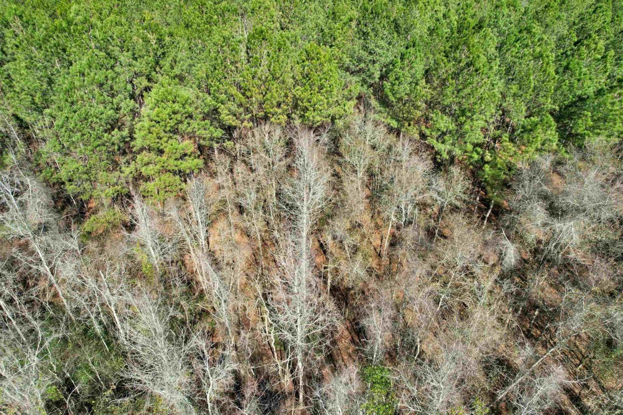 2894 SW Overstreet Avenue , Greenville, FL 32331 Photo