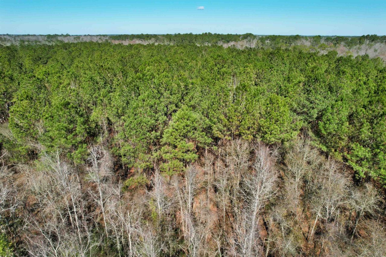 2894 SW Overstreet Avenue , Greenville, FL 32331 Photo