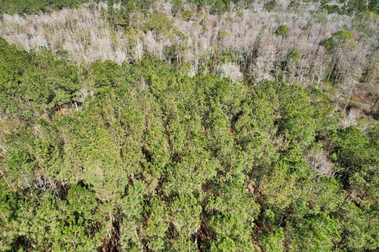 2894 SW Overstreet Avenue , Greenville, FL 32331 Photo