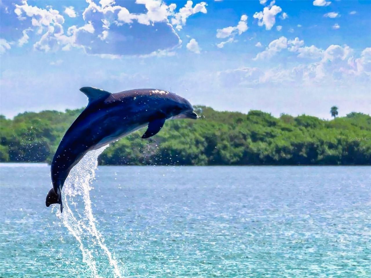 438 Bouchelle Drive, Unit 105, New Smyrna Beach, FL 32169 Photo