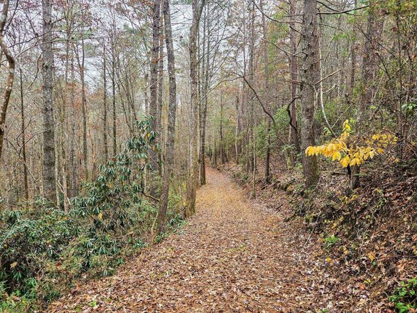 138 Bowater Road, Tellico Plains, TN 37385