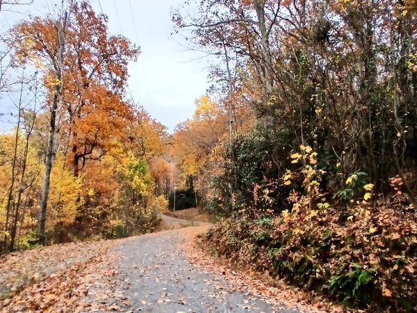 Lot 3 Rocky Ridge Road, Cosby, TN 37722