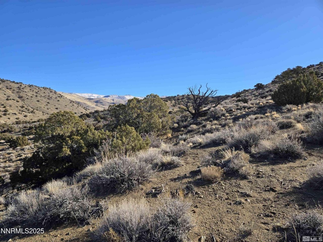 5150 Twin Springs Road, Reno, NV 89510 Photo