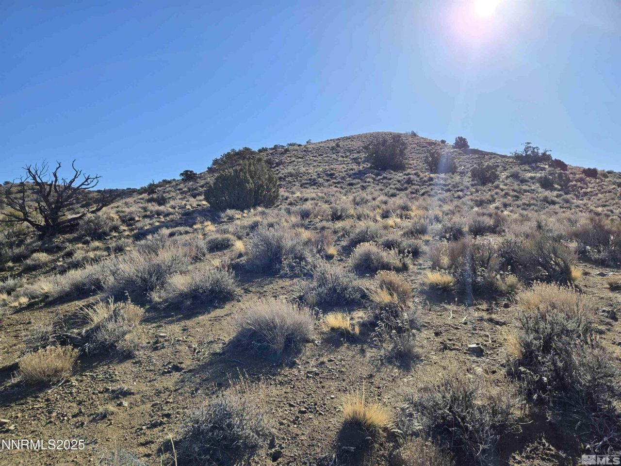 5150 Twin Springs Road, Reno, NV 89510 Photo