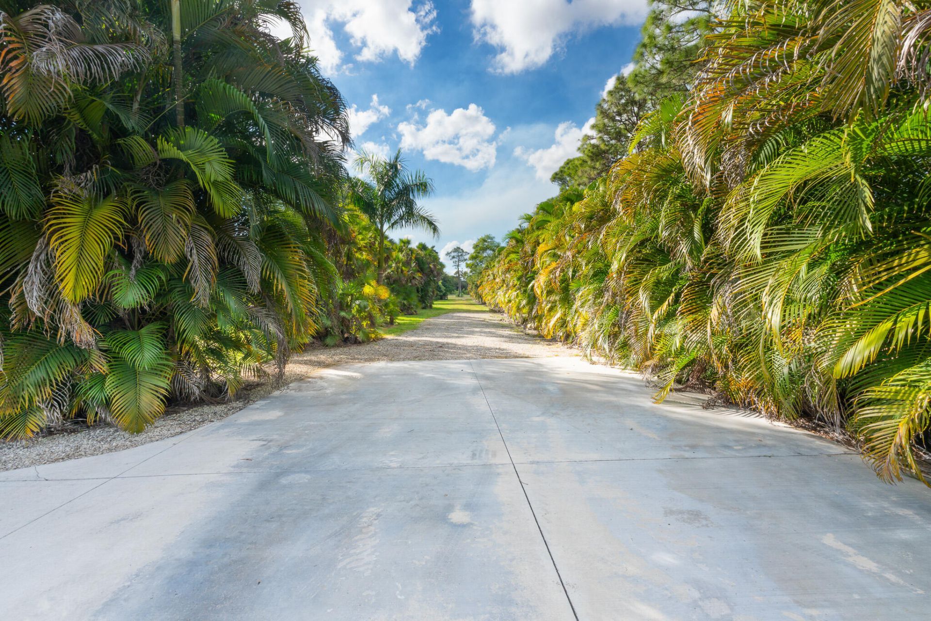 3516 185th Trail, Loxahatchee, FL 33470 Photo