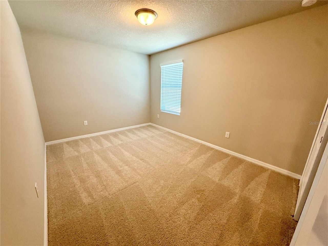 10062 Daybreak Glen, Parrish, FL 34219 Photo