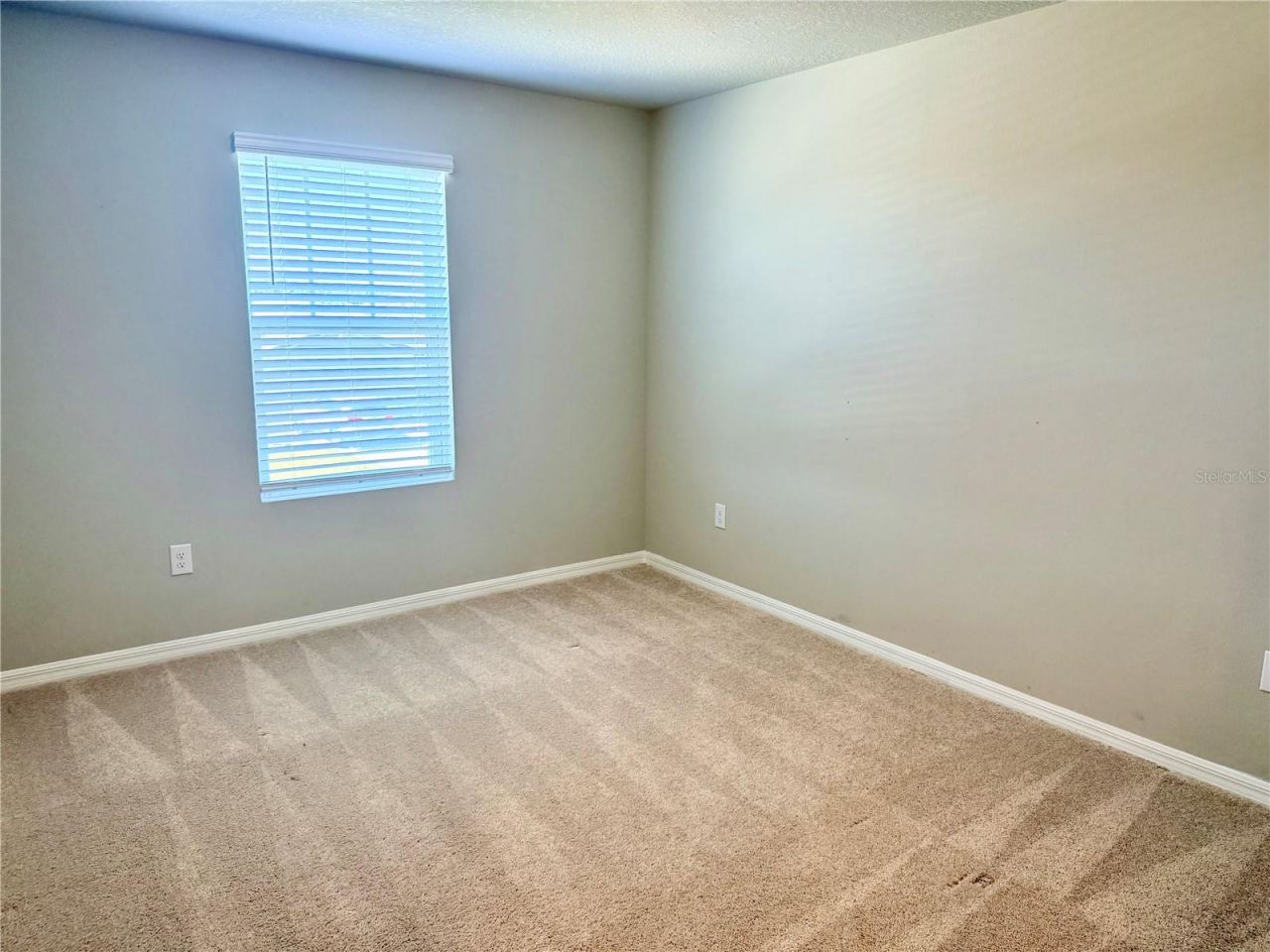 10062 Daybreak Glen, Parrish, FL 34219 Photo