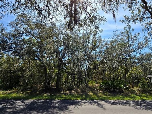 1 BUCKEYE COURT, HOMOSASSA, FL 34446
