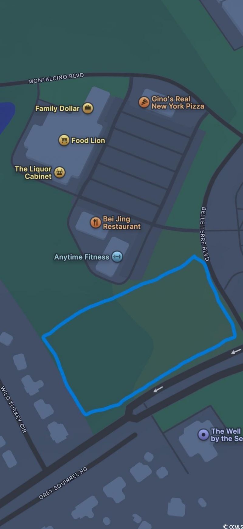 Tbd Belle Terre Blvd. Photo 6