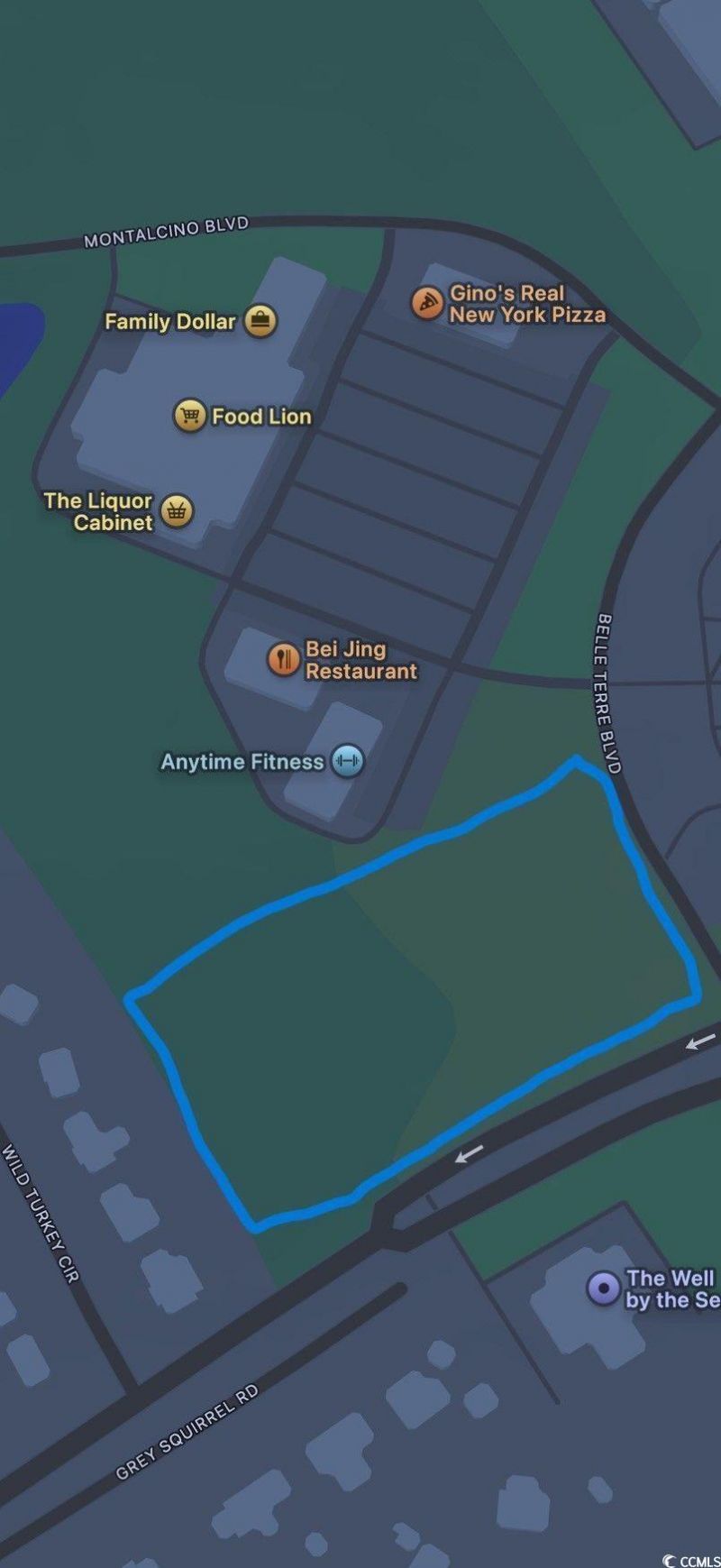 Tbd Belle Terre Blvd. Photo 7