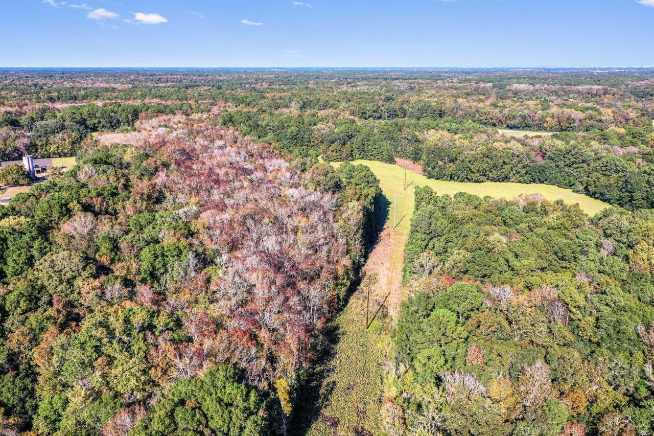 2418 Plow Ground Road Photo 11