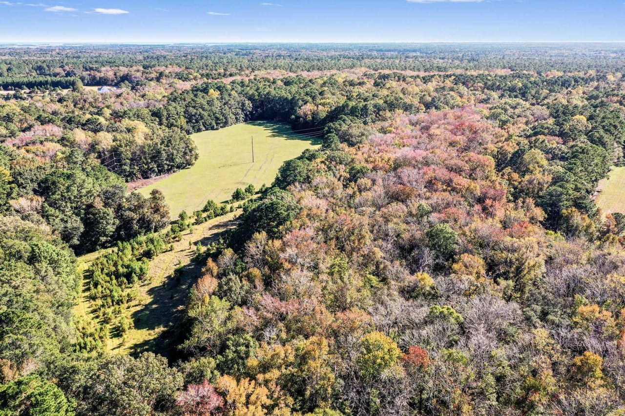 2418 Plow Ground Road Photo 13