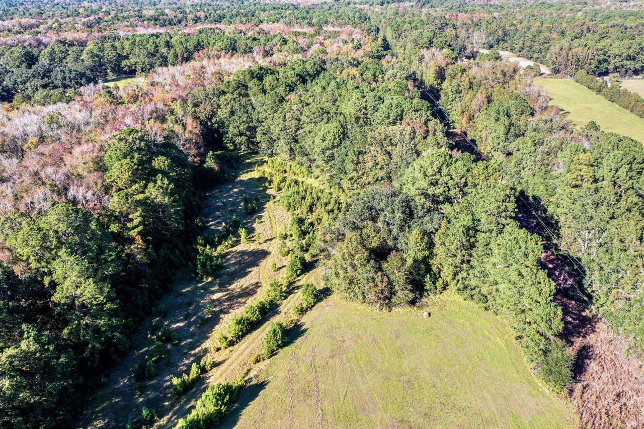 2418 Plow Ground Road Photo 16