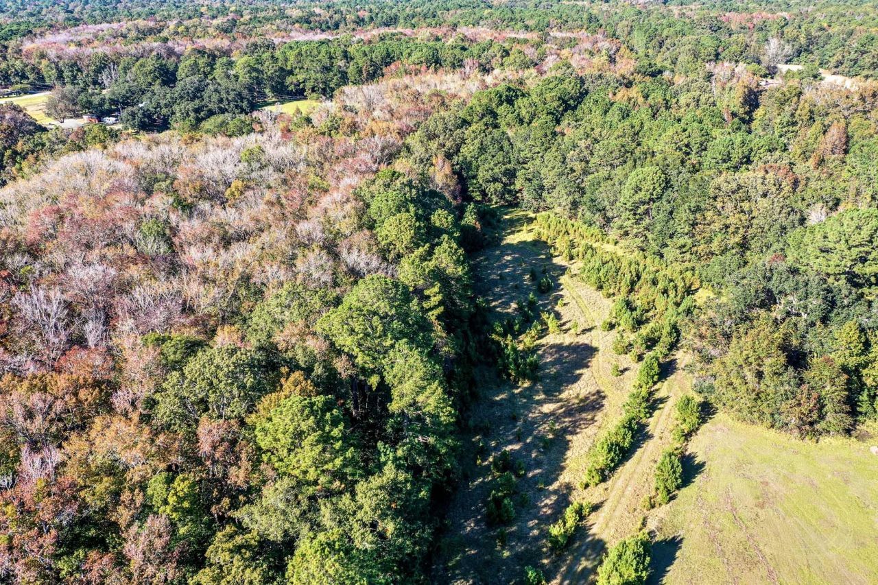 2418 Plow Ground Road Photo 17