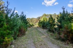 2418 Plow Ground Road photo 4