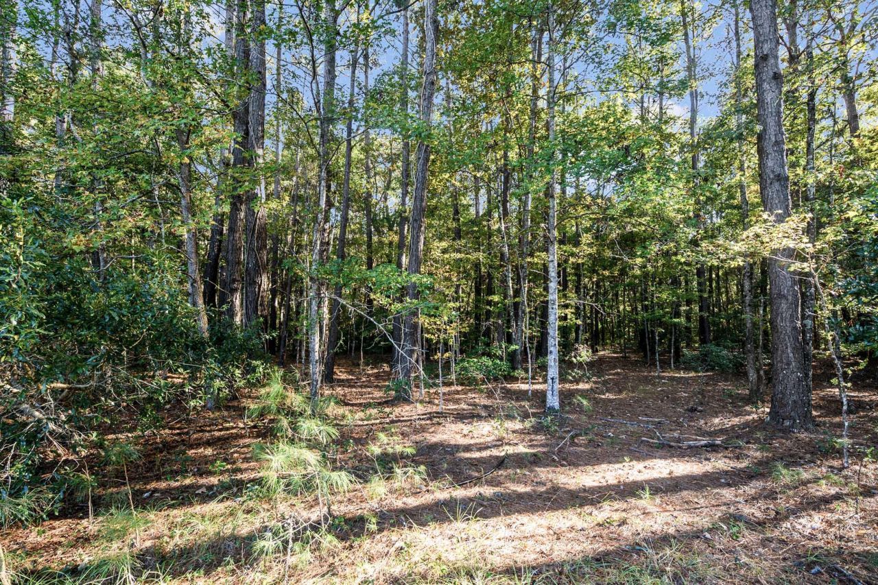 2418 Plow Ground Road Photo 4