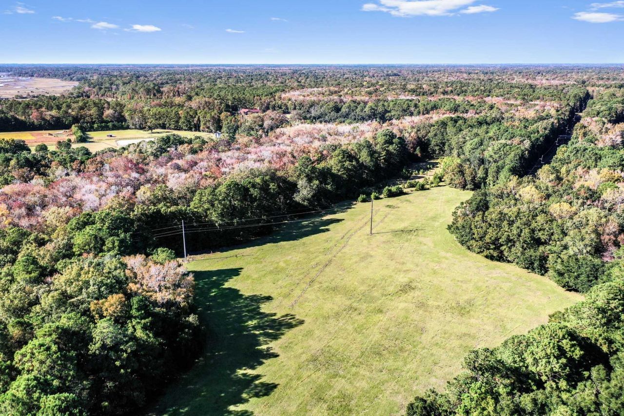 2418 Plow Ground Road Photo 8