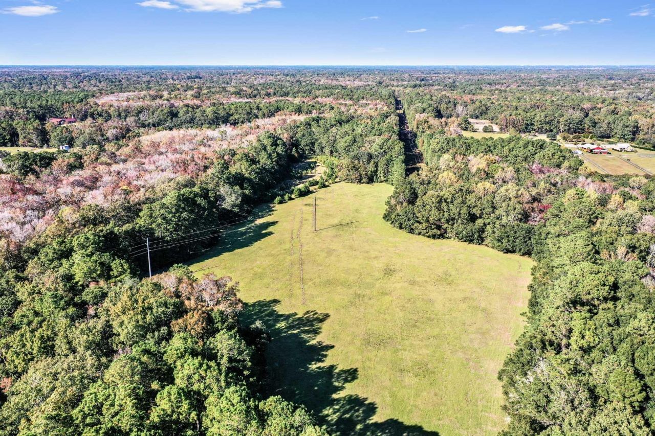 2418 Plow Ground Road Photo 9