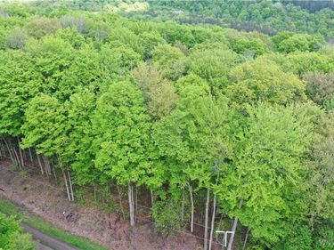 0 Dublin Terrace, Salamanca, NY 14779