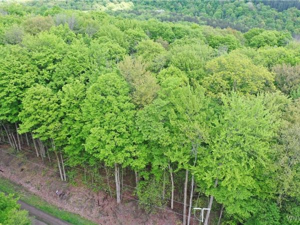 0 Dublin Terrace, Salamanca, NY 14779