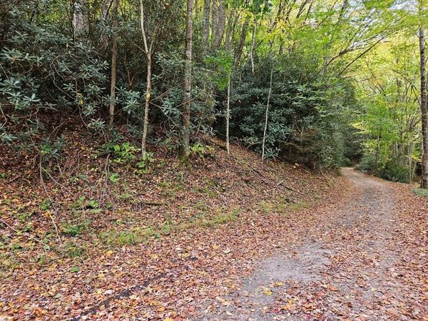 14b Lot Pennington Branch Road, Troutdale, VA 24236