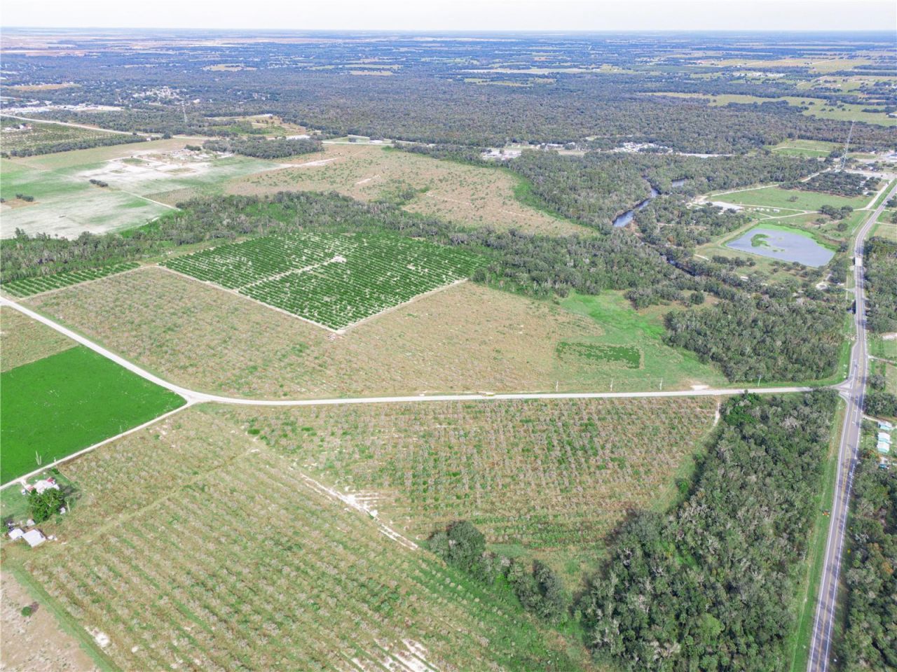 2485 S Florida Avenue, Wauchula, FL 33873 Photo