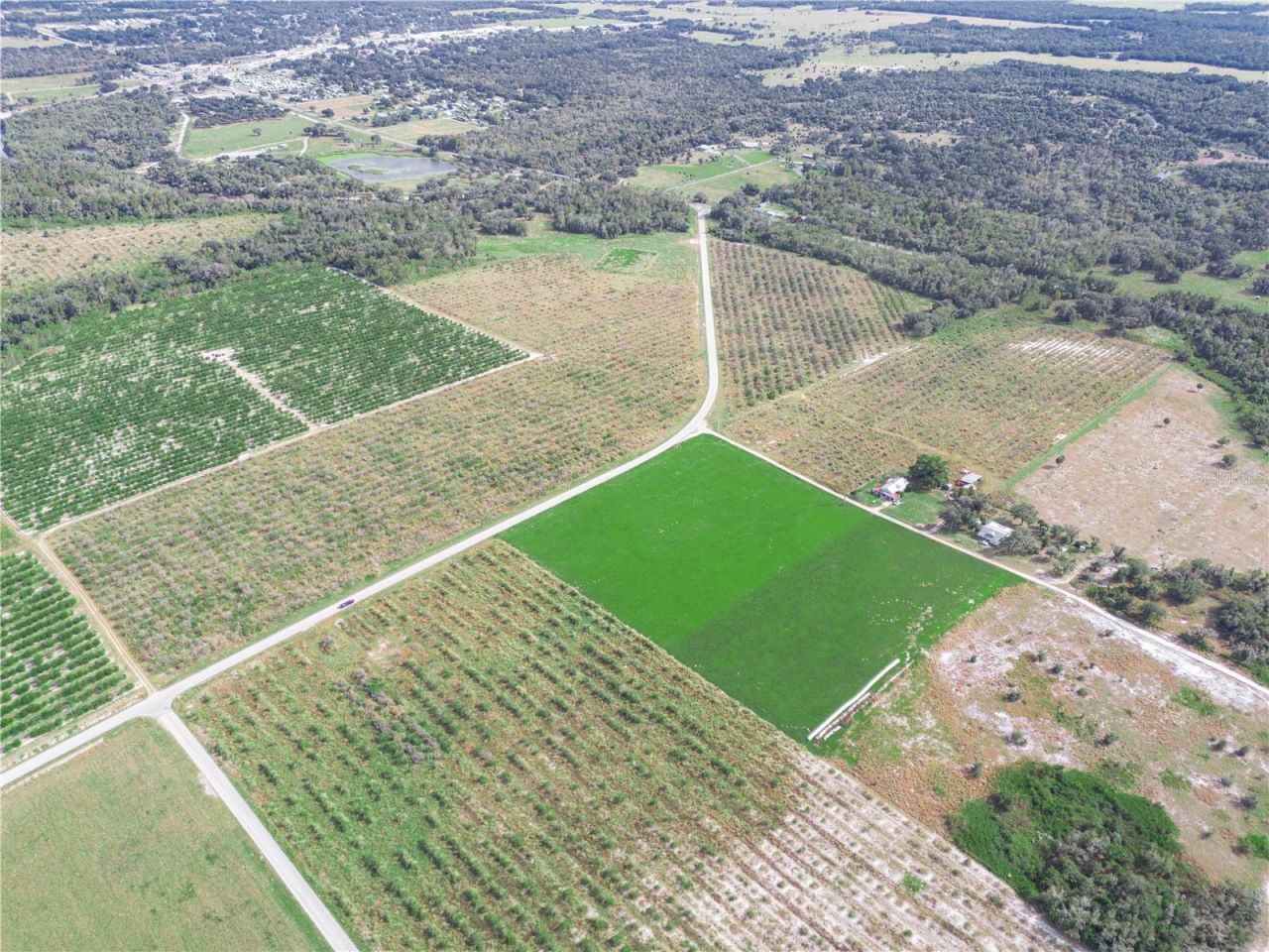 2485 S Florida Avenue, Wauchula, FL 33873 Photo