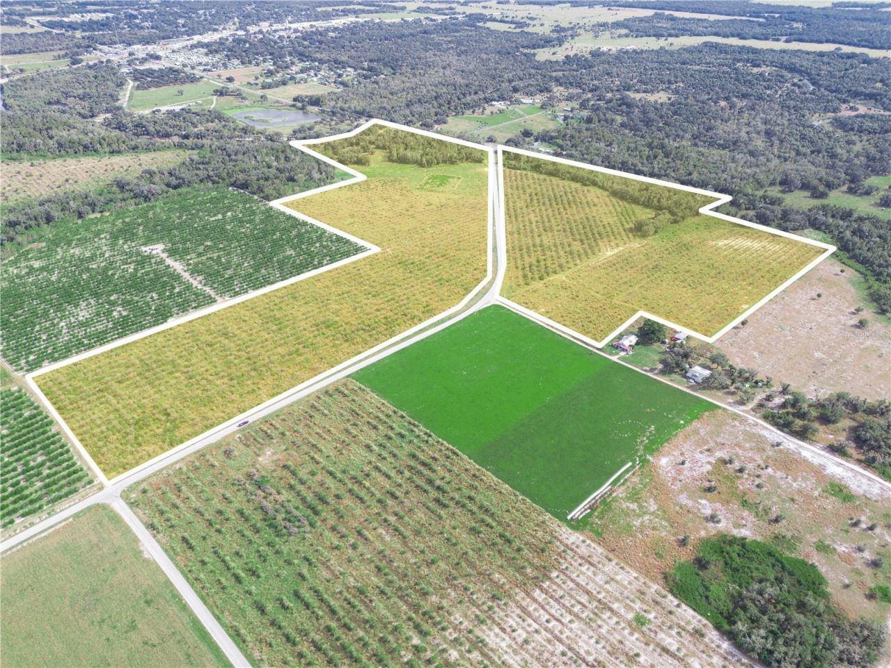 2485 S Florida Avenue, Wauchula, FL 33873 Photo