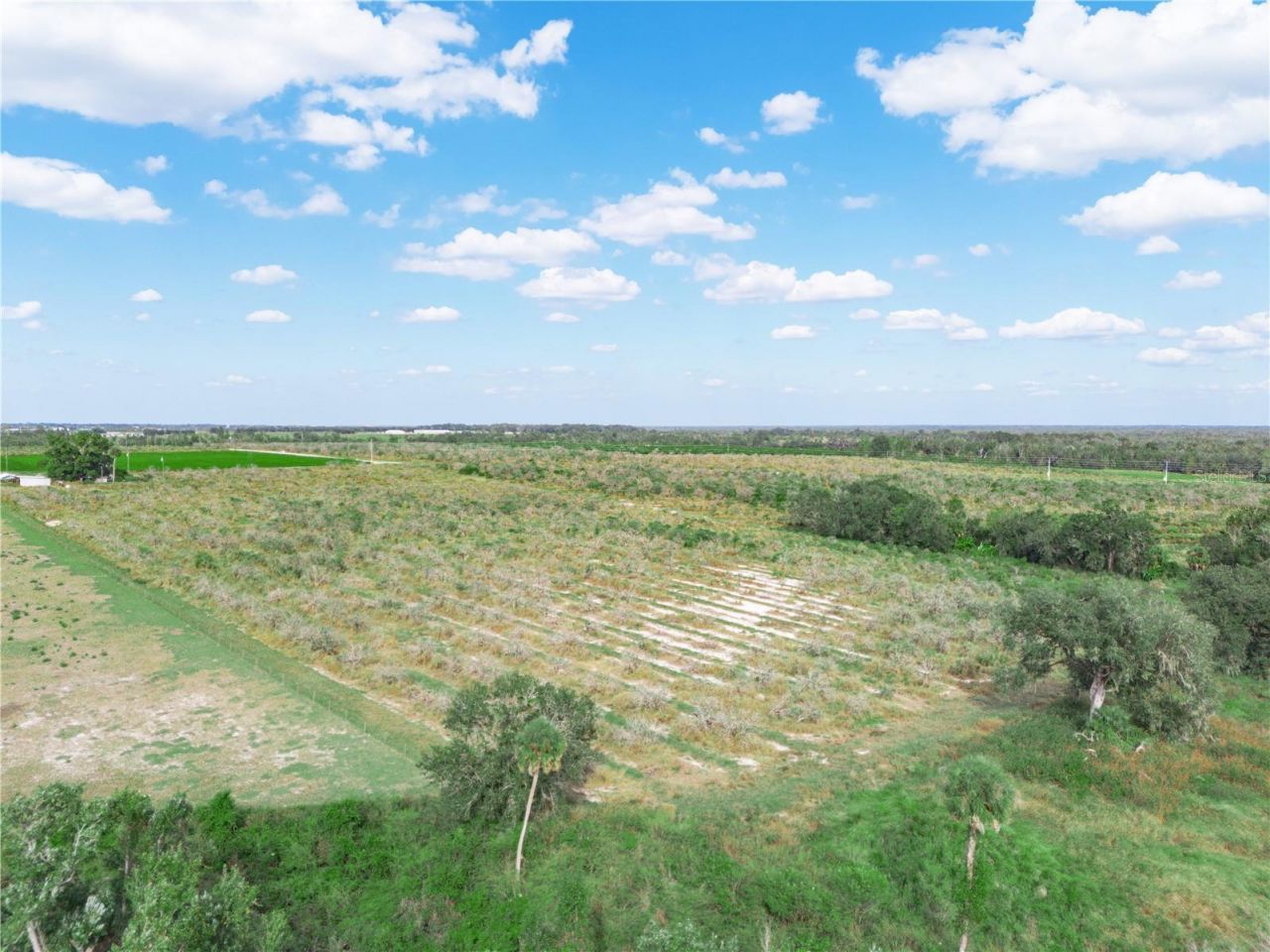 2485 S Florida Avenue, Wauchula, FL 33873 Photo