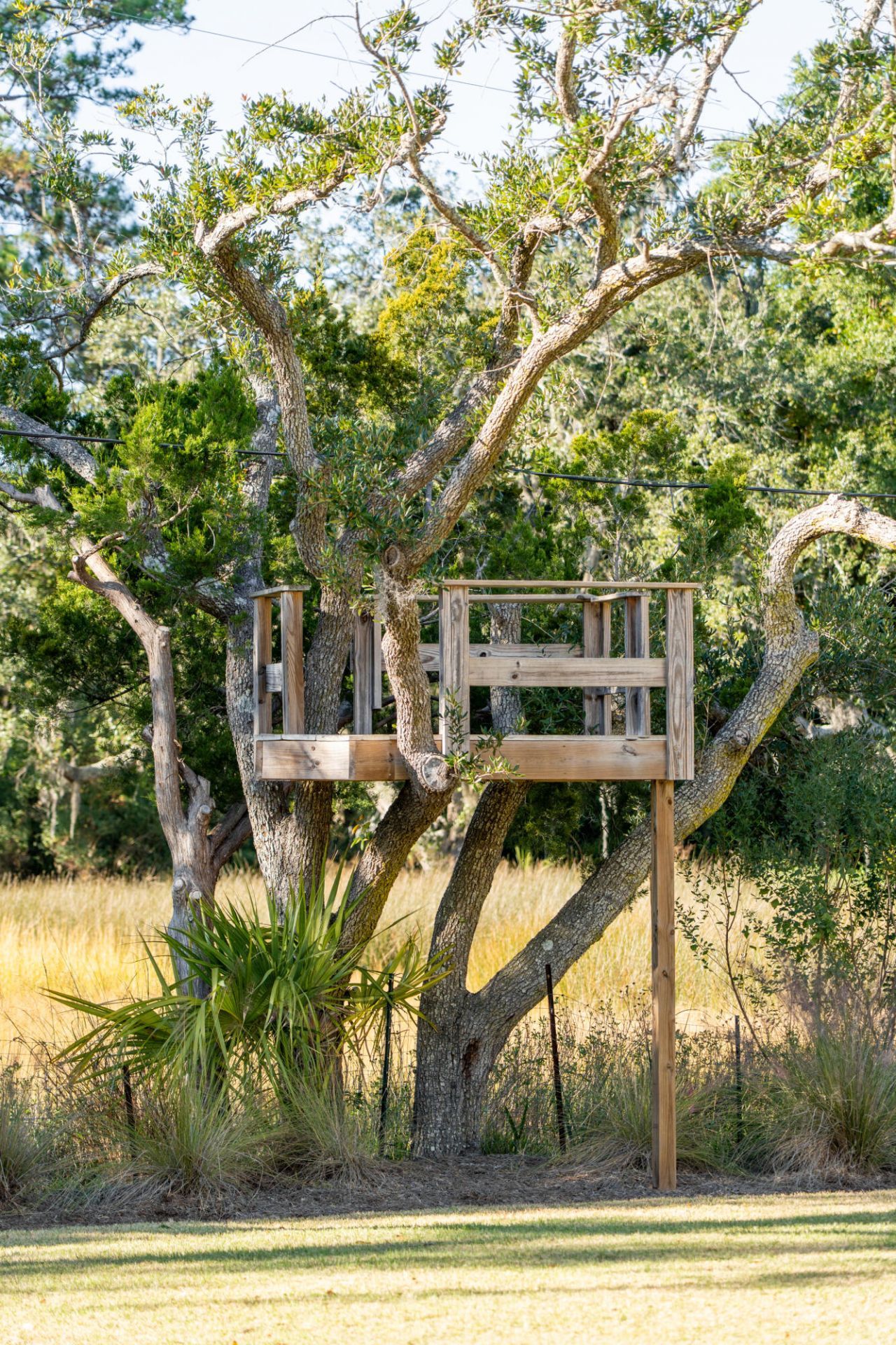 5 Allgood Road Photo 48