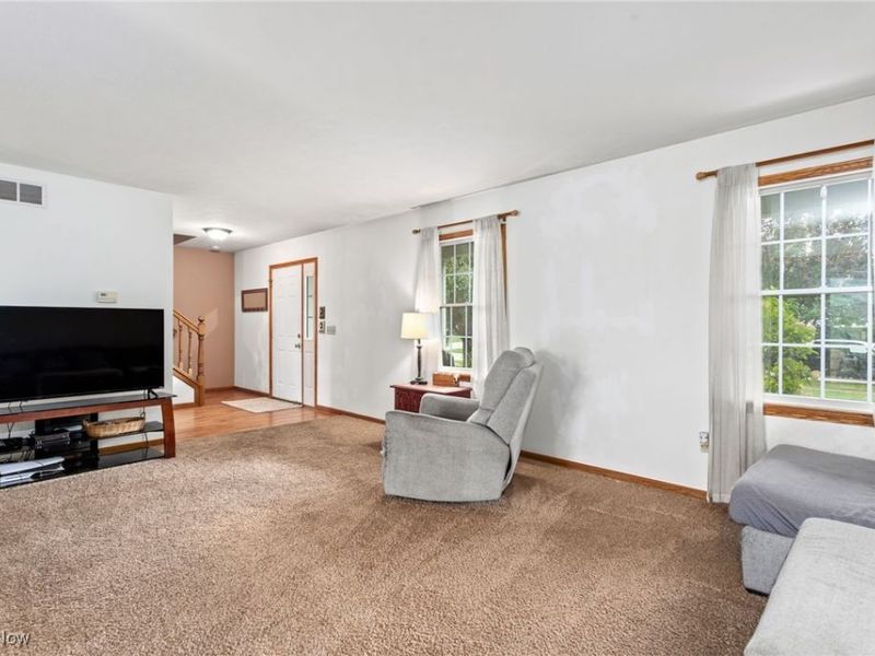 210 Evergreen Drive, Creston, OH 44217 Photo 18