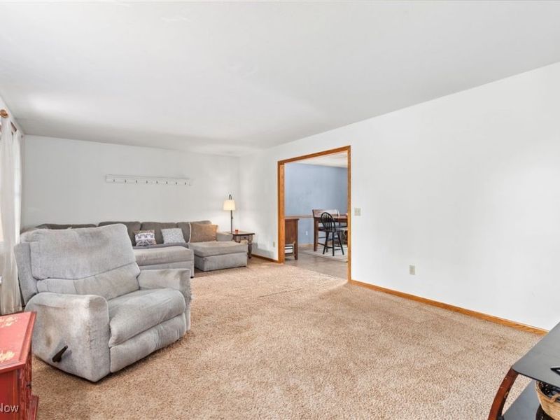 210 Evergreen Drive, Creston, OH 44217 Photo 20