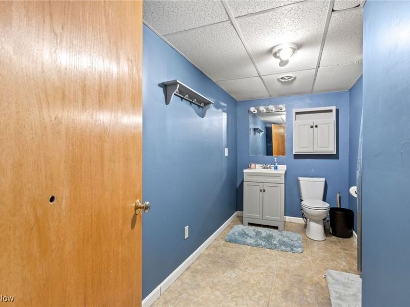 210 Evergreen Drive, Creston, OH 44217 Photo 30