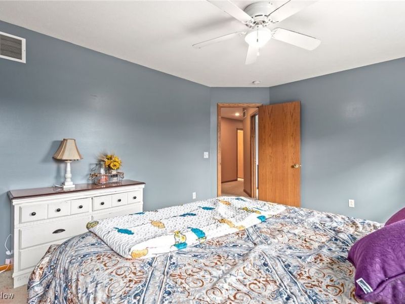 210 Evergreen Drive, Creston, OH 44217 Photo 37