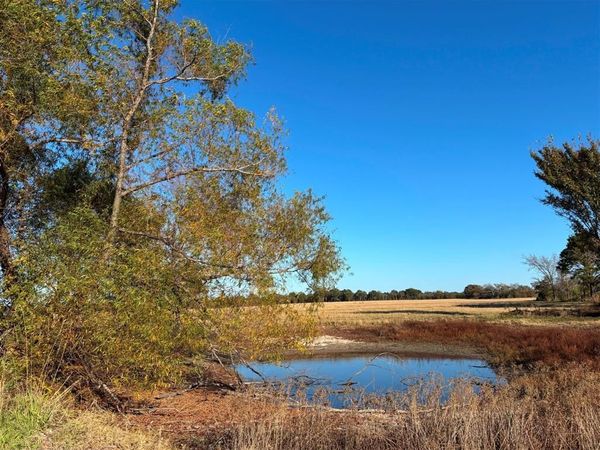 000 FM 1653 , Ben Wheeler, TX 75754