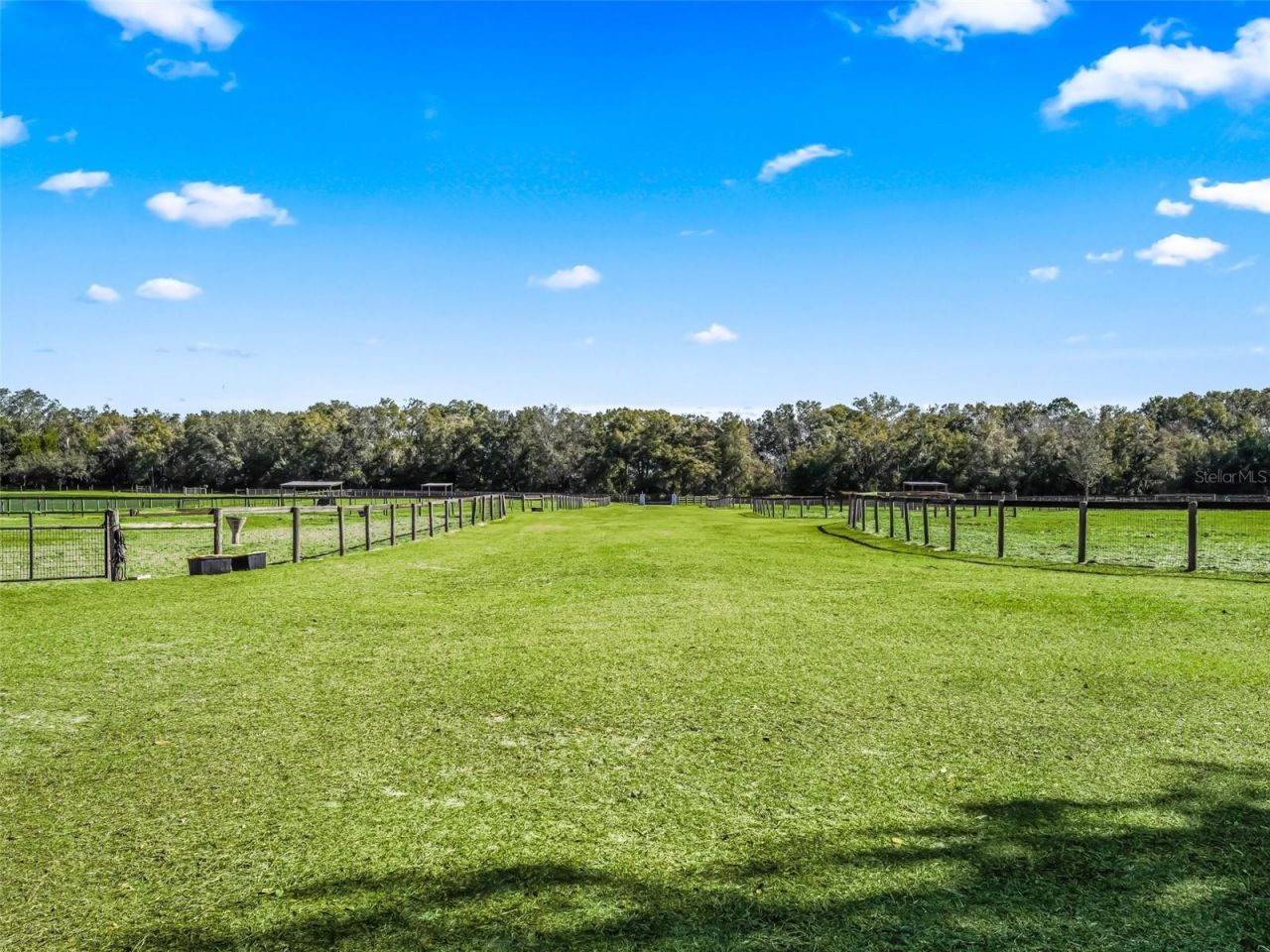 250 NE 195th Avenue, Williston, FL 32696 Photo