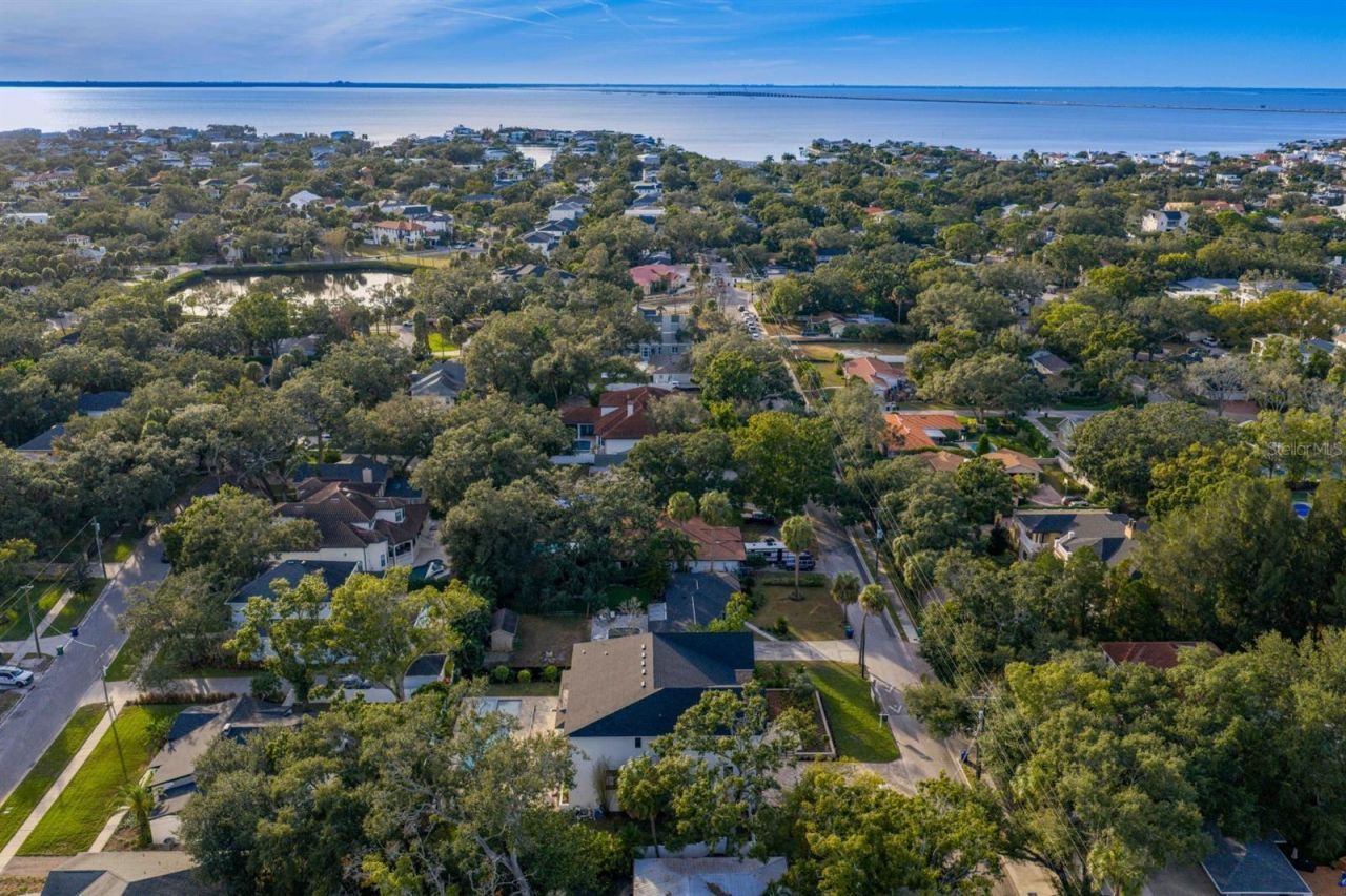 4624 W San Jose Street, Tampa, FL 33629 Photo