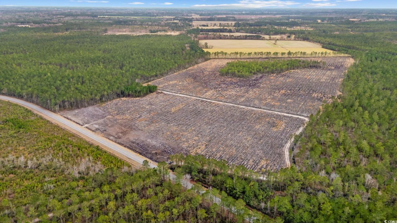 Tbd Joyner Swamp Rd. Photo 11