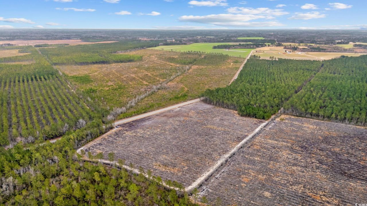 Tbd Joyner Swamp Rd. Photo 12