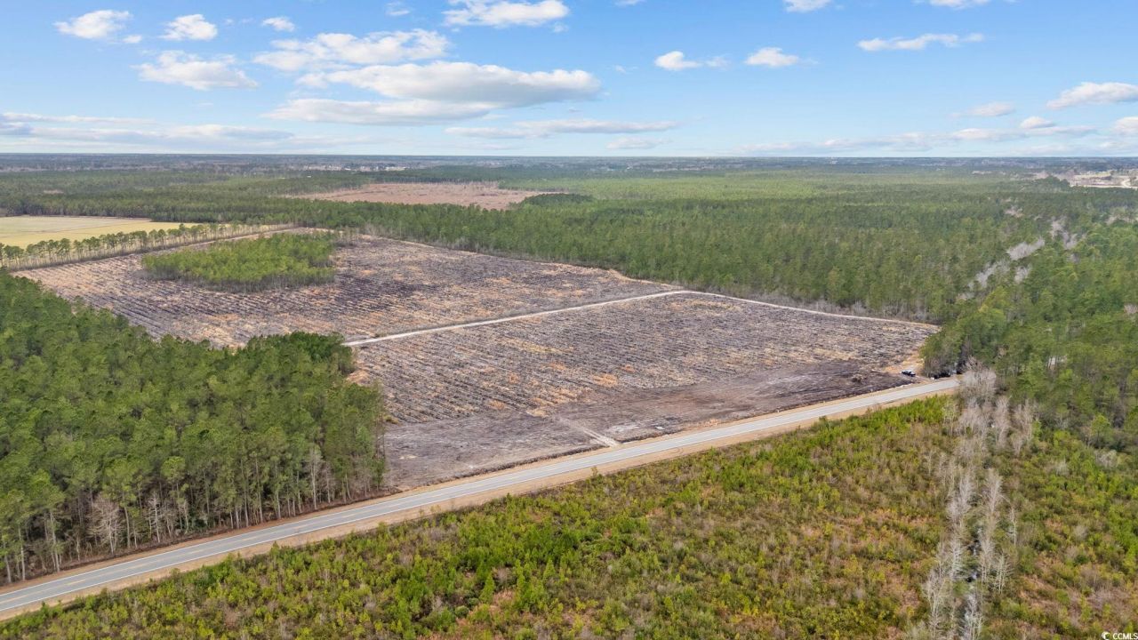 Tbd Joyner Swamp Rd. Photo 15