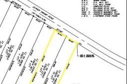 Tbd Joyner Swamp Rd. photo 4