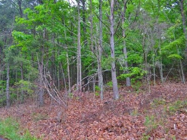 8805 Terrace Falls Drive, Soddy Daisy, TN 37379