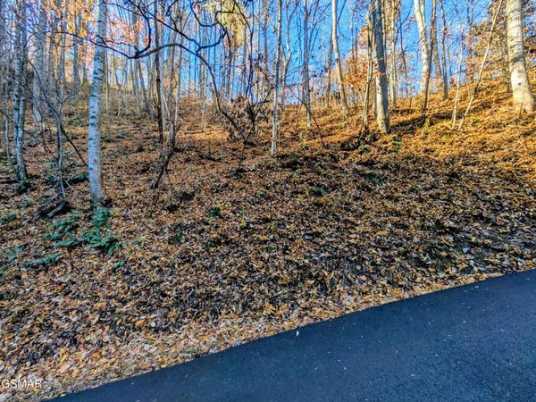 Lot 339 Ridgefield Drive, Sevierville, TN 37876