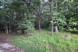 2251 Turkey Hill Road photo 4